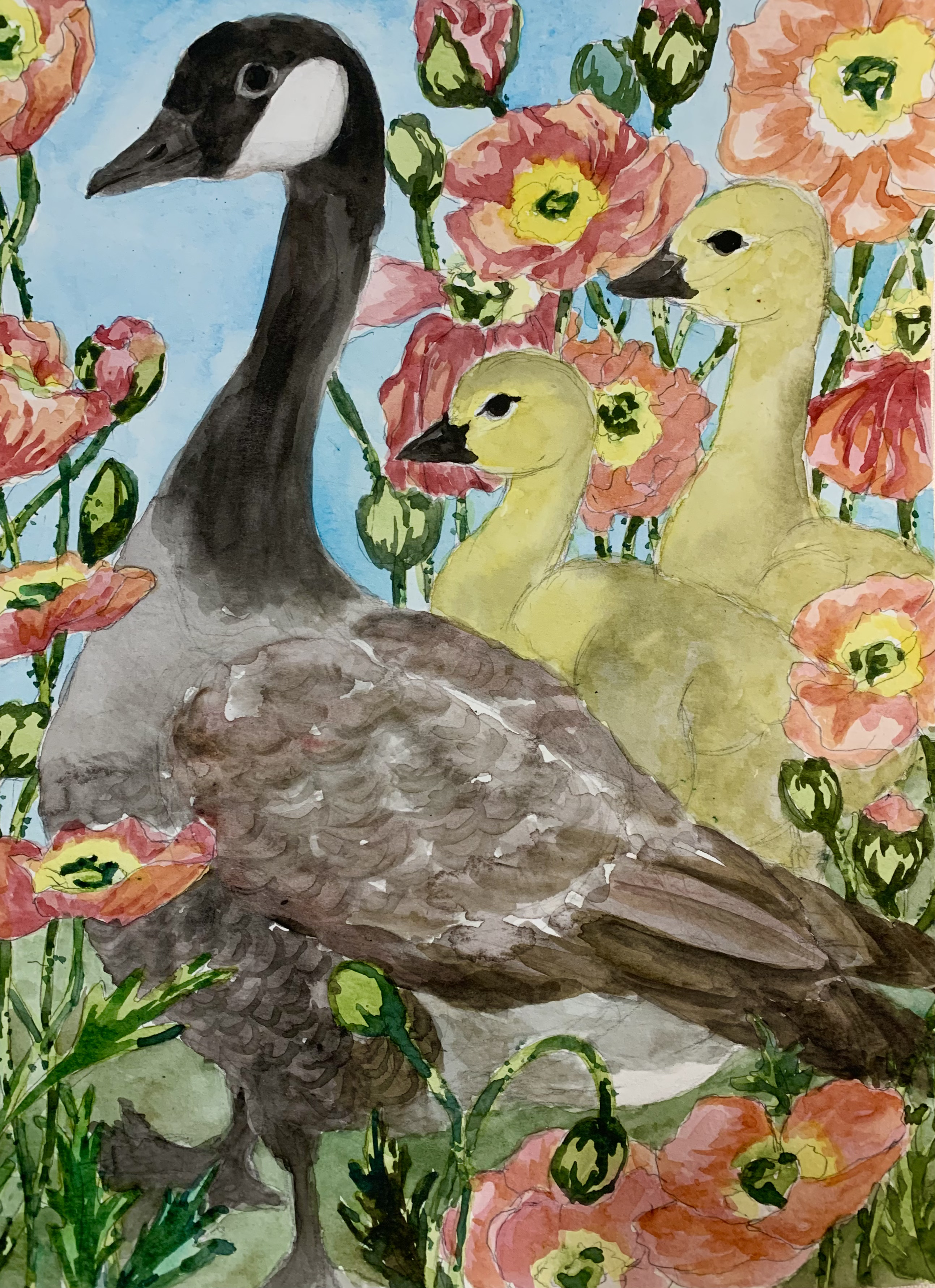beneath gentel wings 3watercolor _20*30