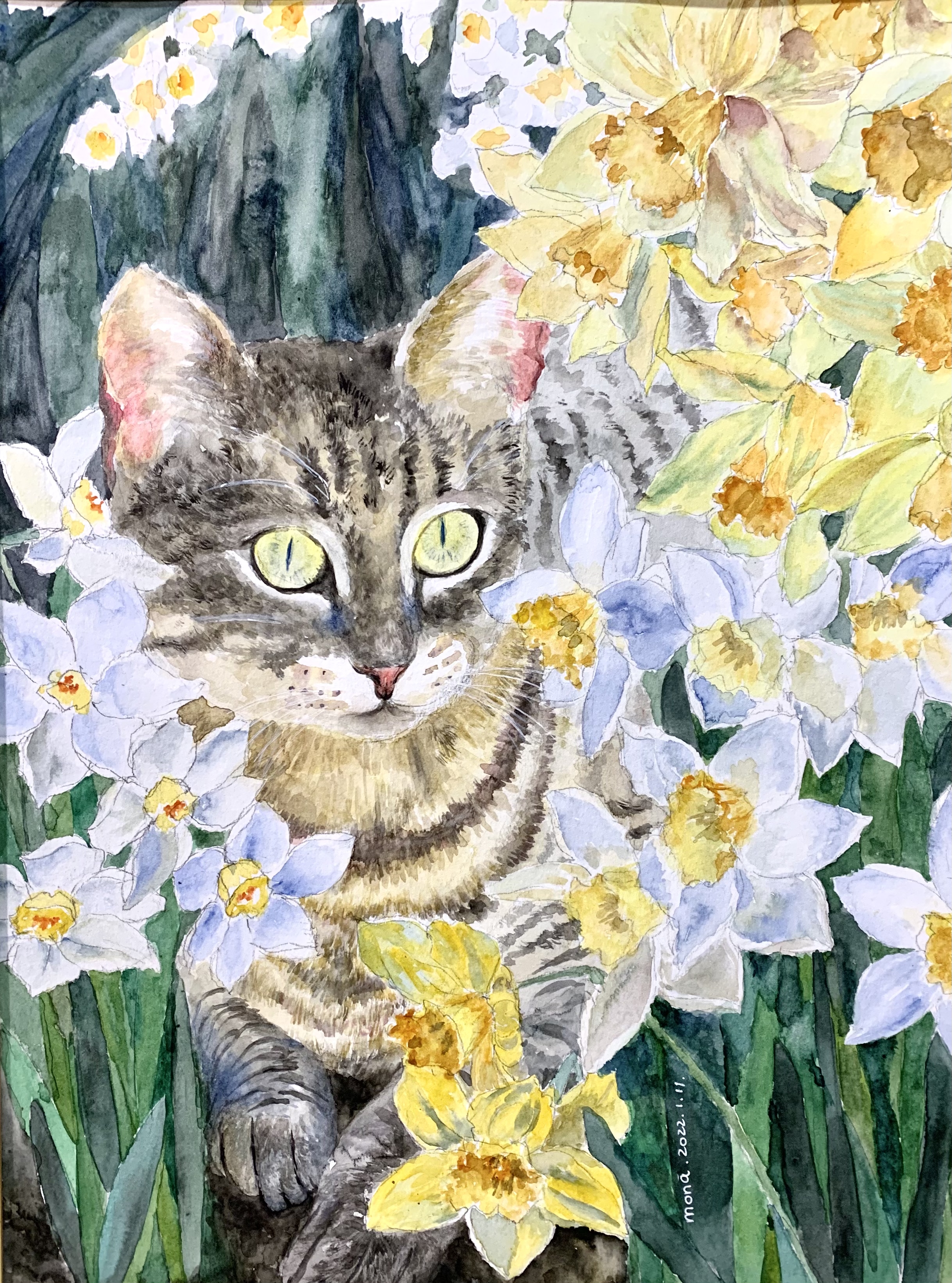 garden reverie-daffodil