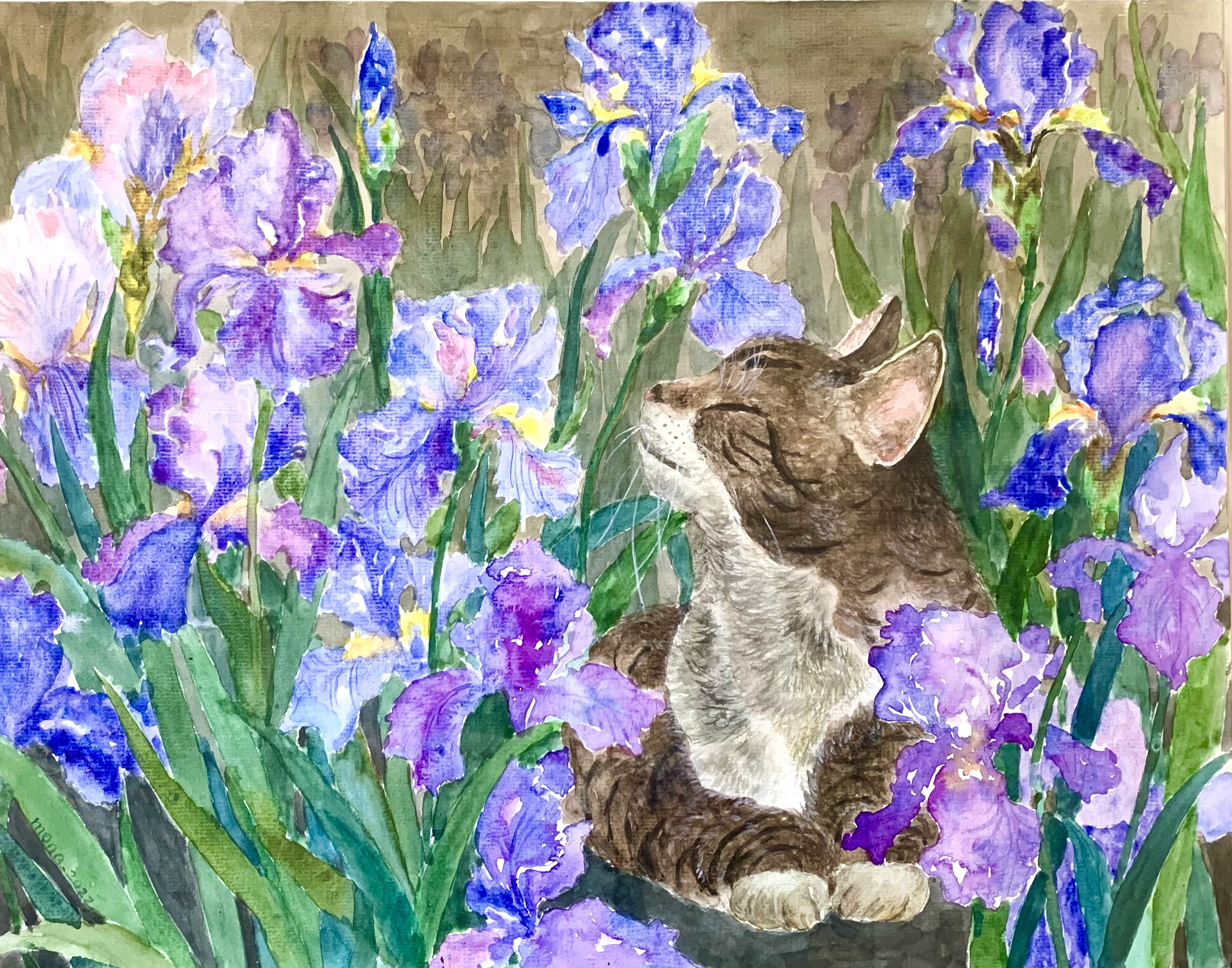 garden reverie-iris